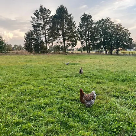 Auf Dem Bauernhof - Hermanns Apartman Strassenhaus
