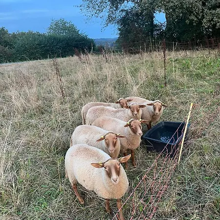 Lejlighed Auf Dem Bauernhof - Hermanns *