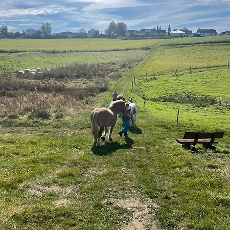 Auf Dem Bauernhof - Hermanns Strassenhaus