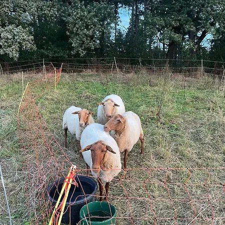 Auf Dem Bauernhof - Hermanns