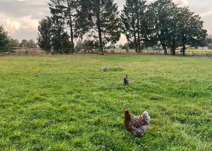 Auf Dem Bauernhof - Hermanns Apartman Strassenhaus