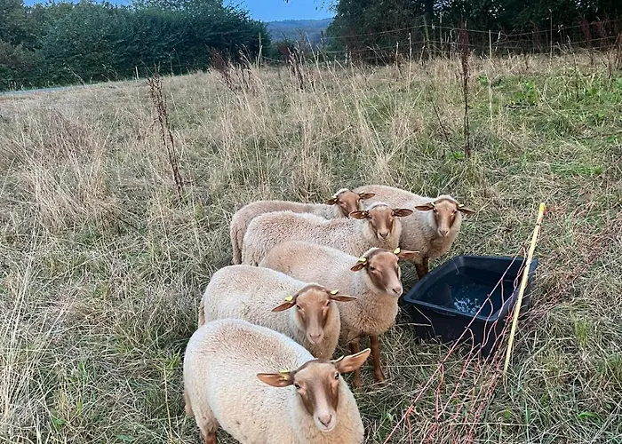 Apartman Auf Dem Bauernhof - Hermanns *