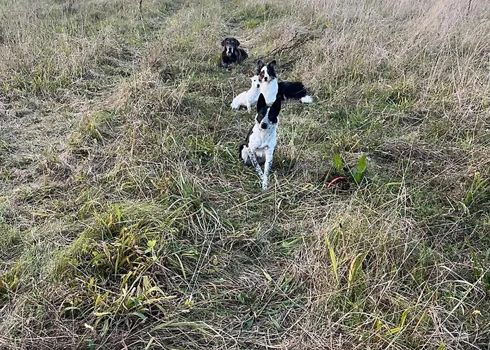 Auf Dem Bauernhof - Hermanns