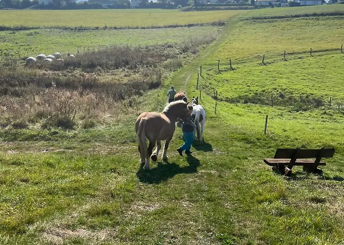 Auf Dem Bauernhof - Hermanns Strassenhaus
