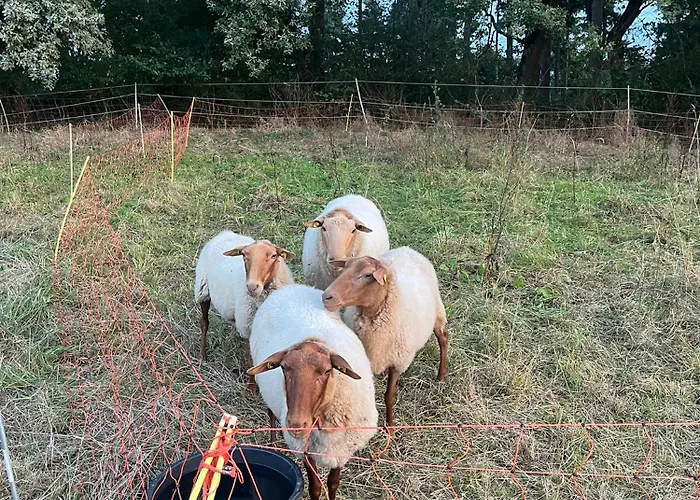 Auf Dem Bauernhof - Hermanns